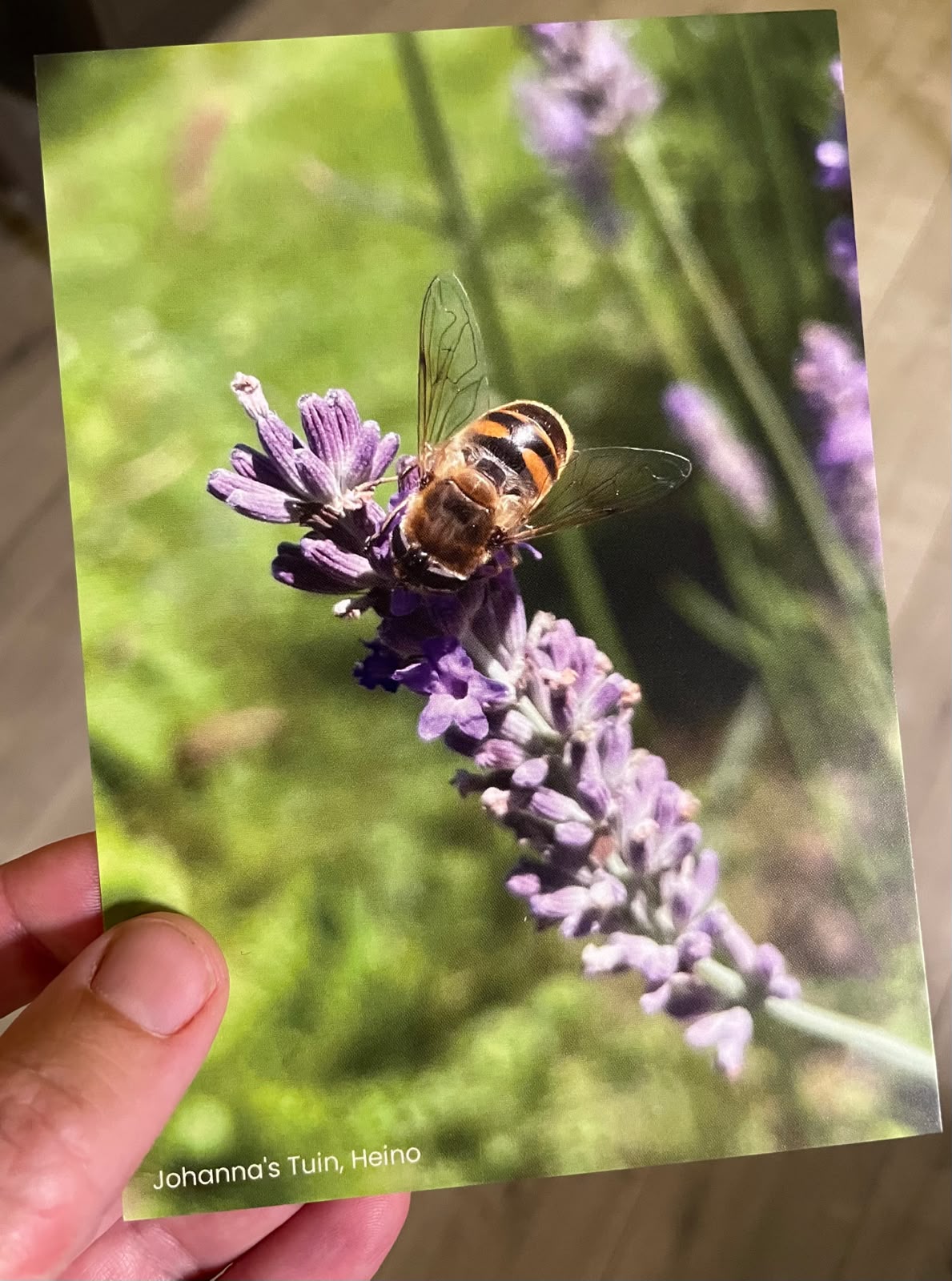 bloemen kaart Lavendel met bij