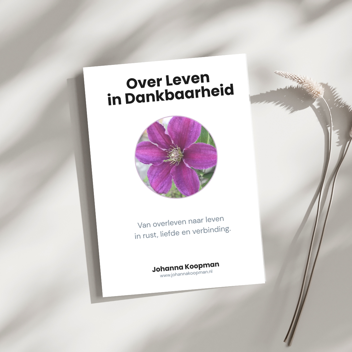e-book Over Leven in Dankbaarheid